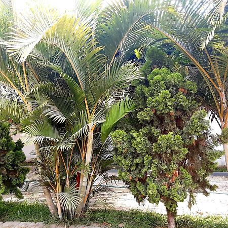 Villa Hospedaje Chanchan Cultural Lodge Trujillo Luaran gambar