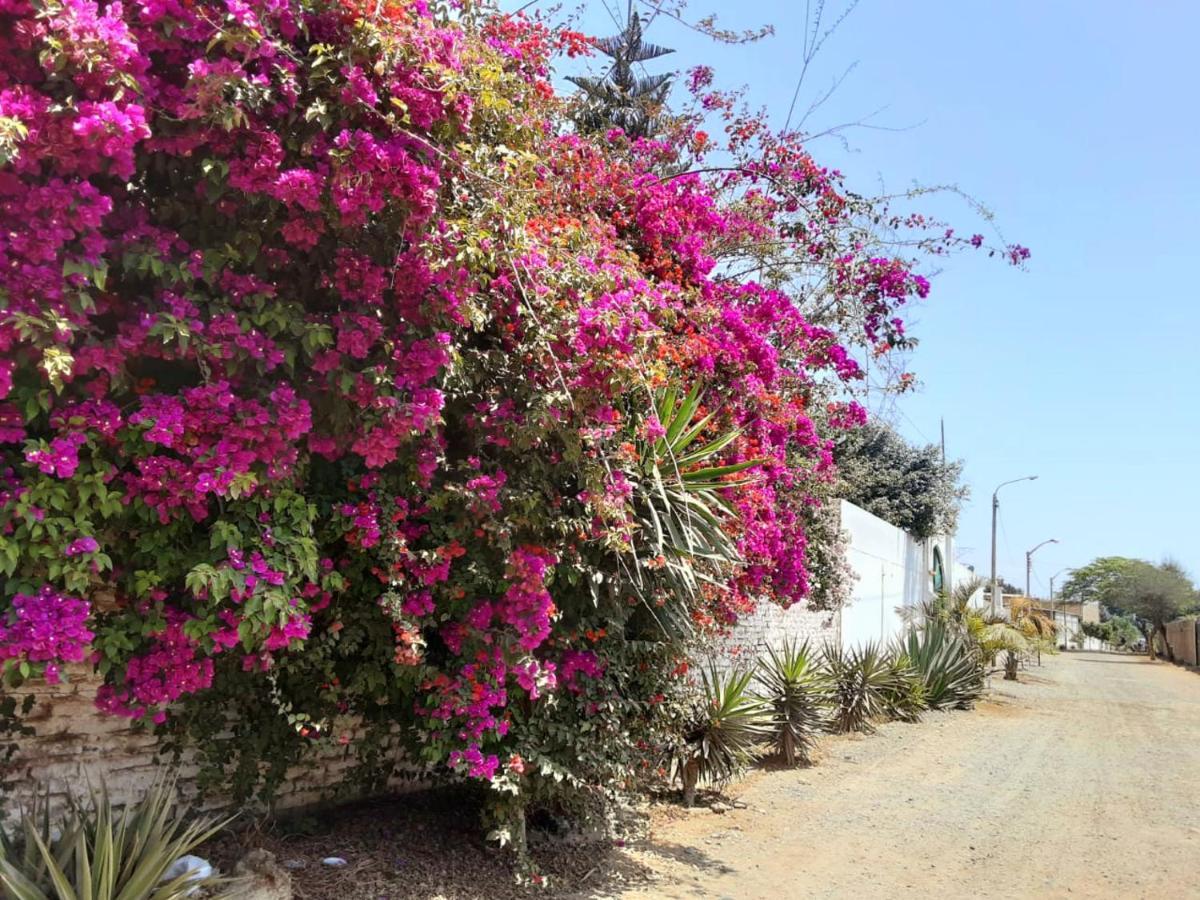 Villa Hospedaje Chanchan Cultural Lodge Trujillo Luaran gambar