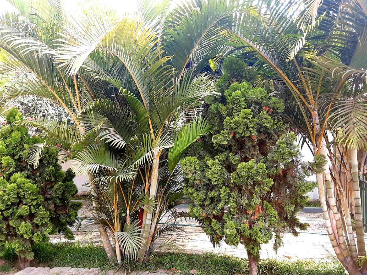 Villa Hospedaje Chanchan Cultural Lodge Trujillo Luaran gambar